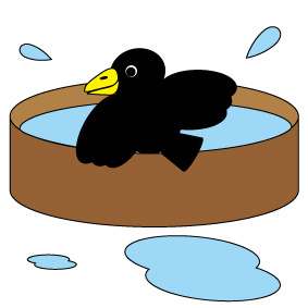 f:id:kamenutsu:20181010210407j:plain