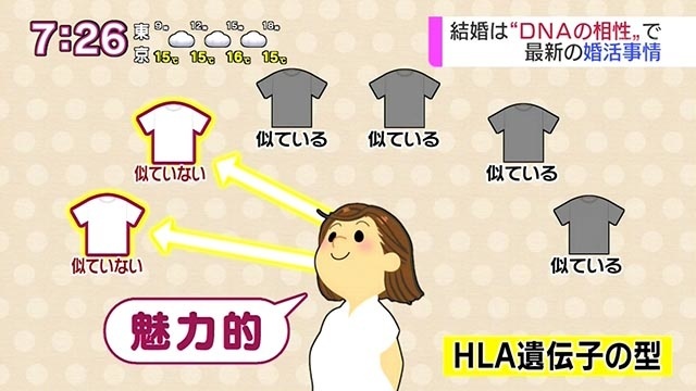 f:id:kamenutsu:20181116075913j:plain