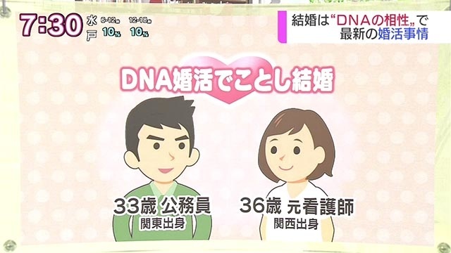 f:id:kamenutsu:20181116084845j:plain