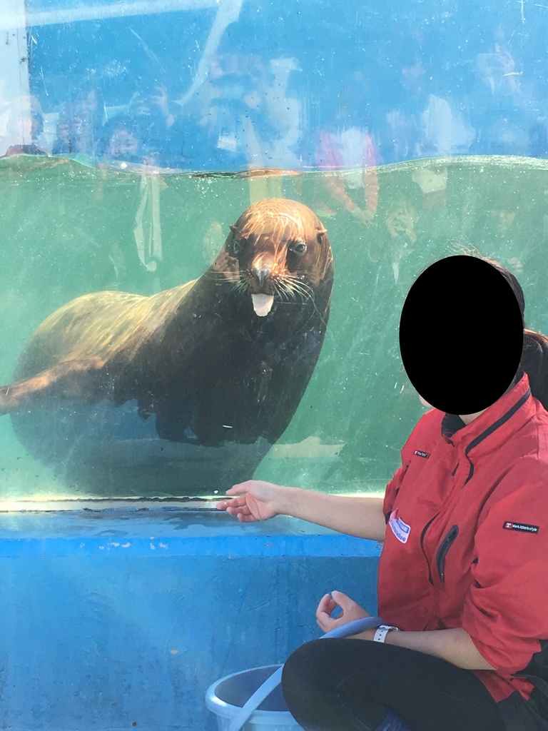 f:id:kamenutsu:20181125175128j:plain f:id:kamenutsu:20181125175128j:plain