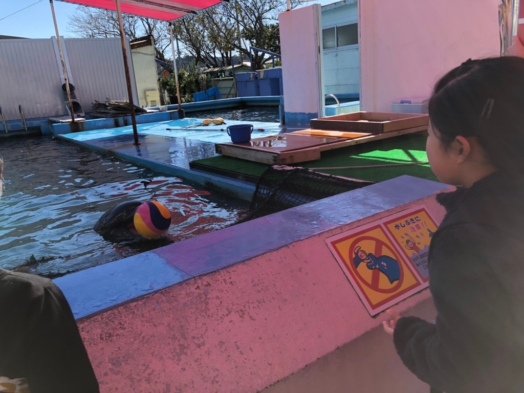 f:id:kamenutsu:20181125185018j:plain f:id:kamenutsu:20181125185018j:plain