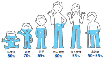 f:id:kamenutsu:20190109213907j:plain