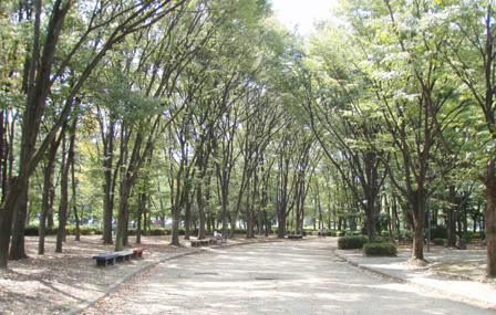 f:id:kamenutsu:20190115205652j:plain