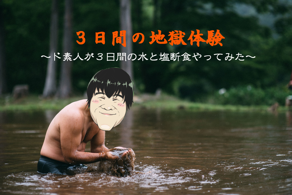 f:id:kamenutsu:20190221110625j:plain