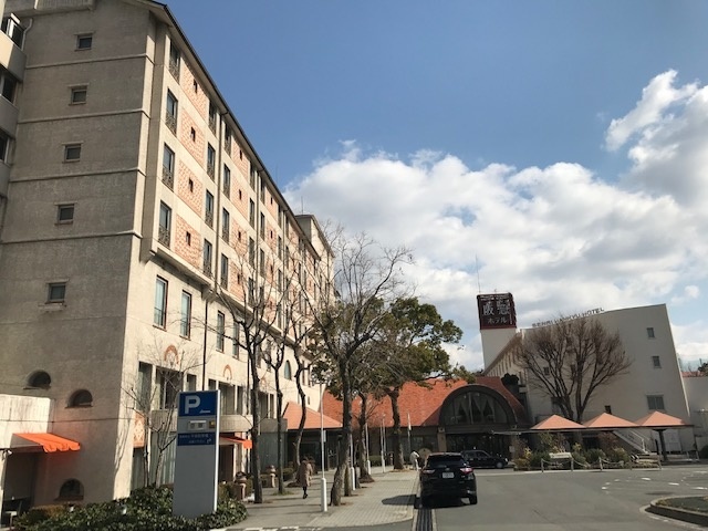 f:id:kamenutsu:20190221122409j:plain