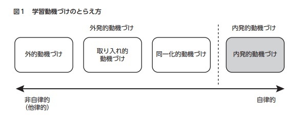 f:id:kamenutsu:20190221182919j:plain