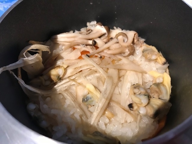 f:id:kamenutsu:20190304180844j:plain