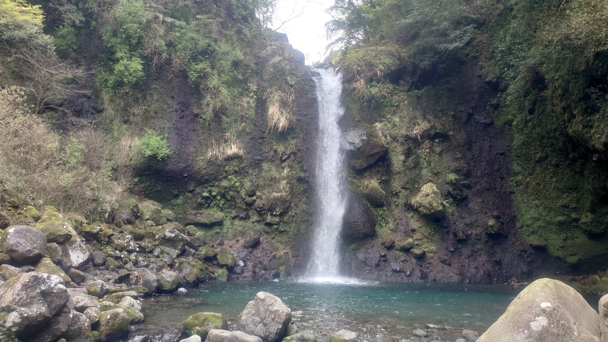 f:id:kameo2021:20210401171036j:plain