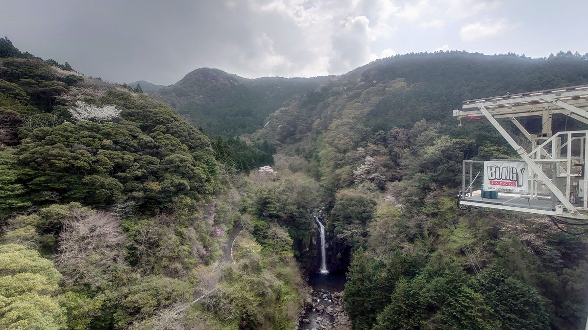 f:id:kameo2021:20210401172341j:plain