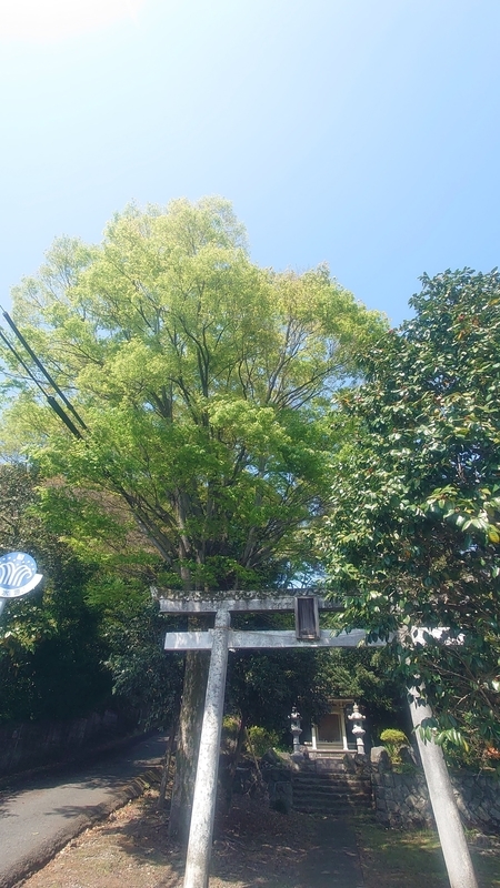 f:id:kameo2021:20210407165621j:plain