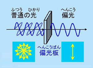 f:id:kamerennu:20191219145017p:plain f:id:kamerennu:20191219145017p:plain