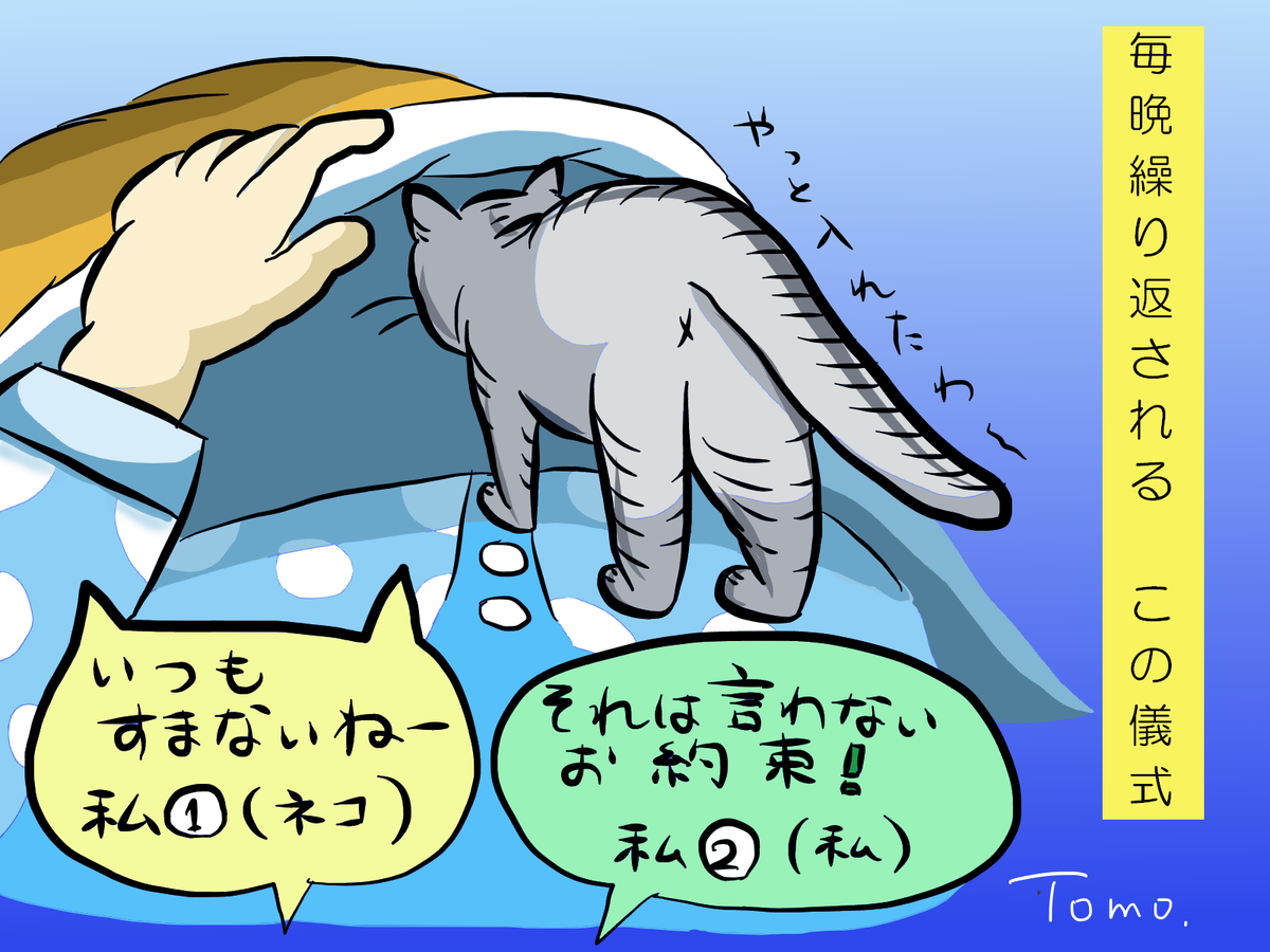 f:id:kameshikun:20210106225124p:plain