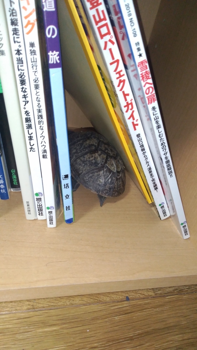 f:id:kametanbo:20200205220310j:plain