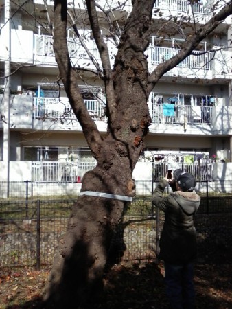 武蔵野の森公園