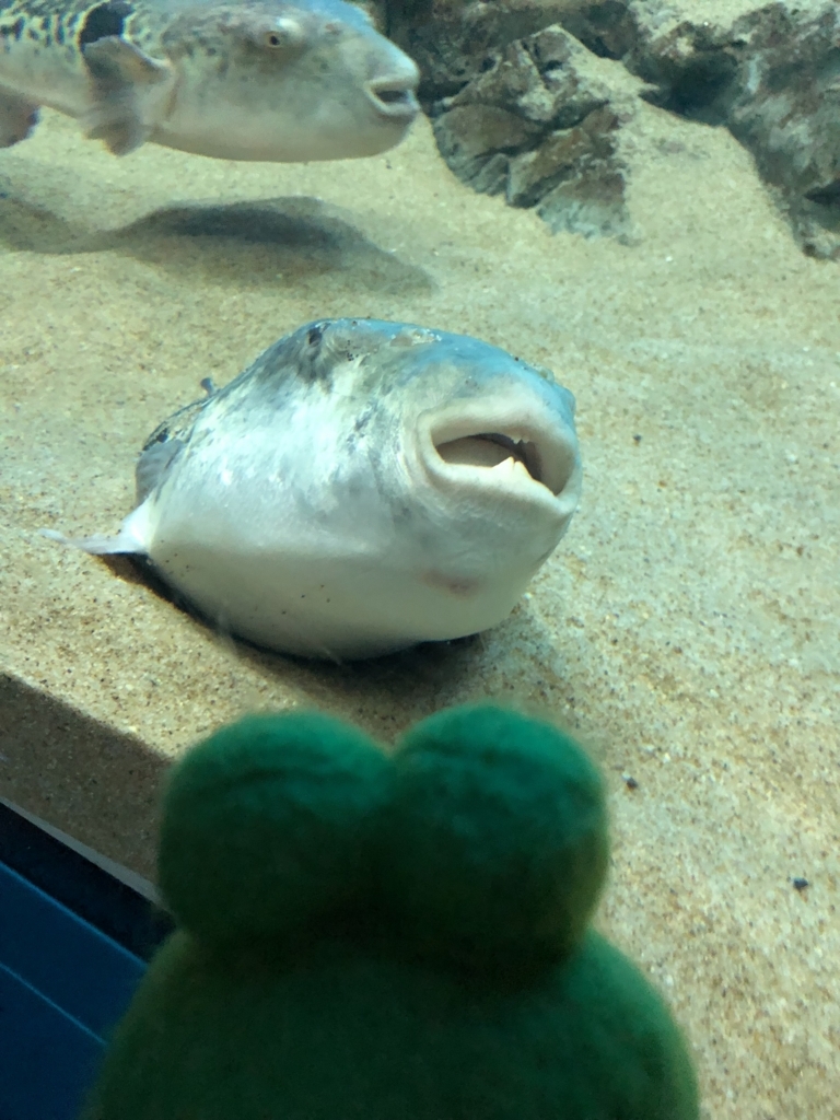 f:id:kami-3-glass:20180618174802j:plain f:id:kami-3-glass:20180618174802j:plain