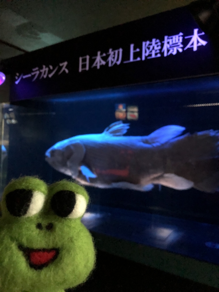 f:id:kami-3-glass:20180619113724j:plain f:id:kami-3-glass:20180619113724j:plain