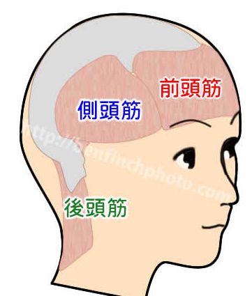 f:id:kami-nayami:20190927105648j:plain f:id:kami-nayami:20190927105648j:plain
