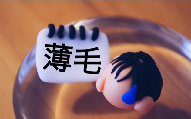 f:id:kami-nayami:20191010143112j:plain f:id:kami-nayami:20191010143112j:plain
