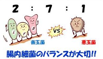 f:id:kami-nayami:20191121140323j:plain f:id:kami-nayami:20191121140323j:plain