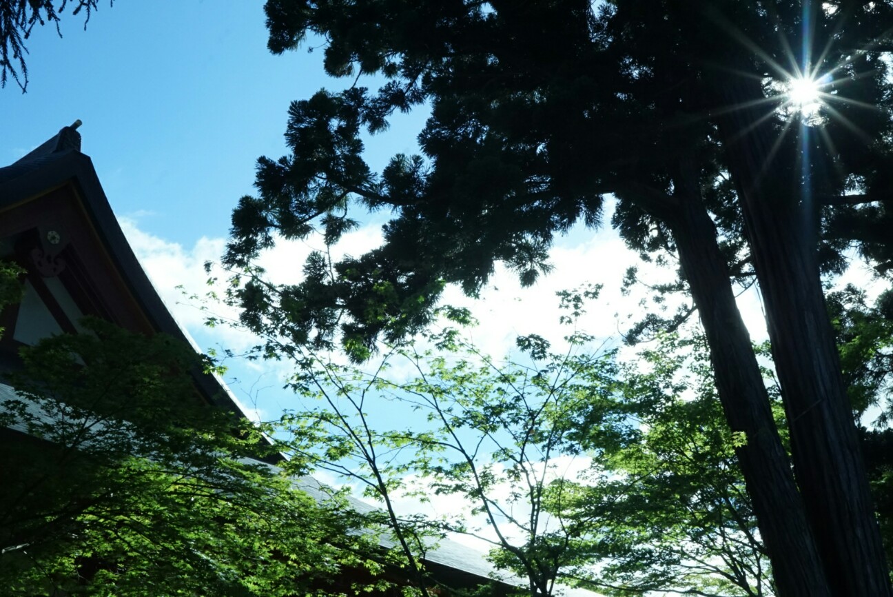 f:id:kami24kami:20160902122021j:image f:id:kami24kami:20160902122021j:image