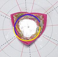 f:id:kami3saki:20191016133840j:plain