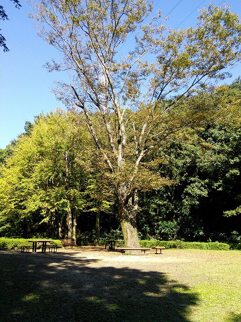 f:id:kami3saki:20191023172936j:plain