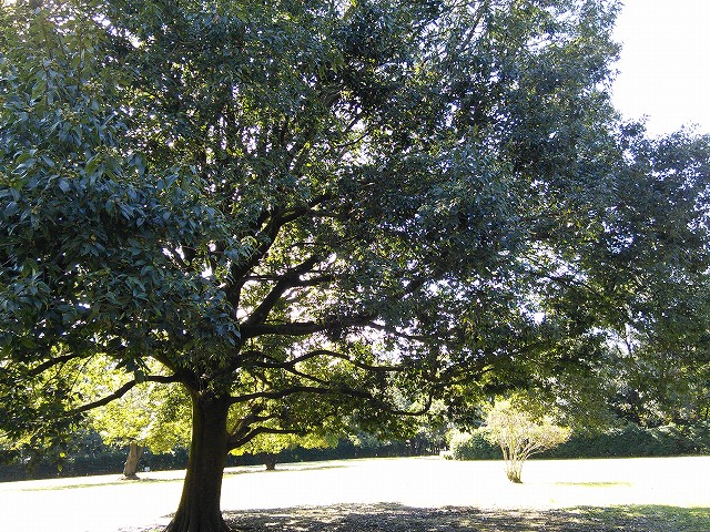 f:id:kami3saki:20191023173355j:plain