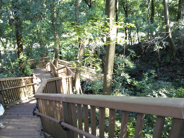 f:id:kami3saki:20191023173910j:plain