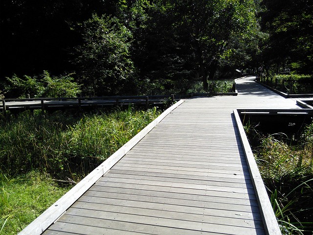 f:id:kami3saki:20191023174100j:plain