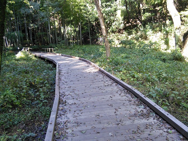 f:id:kami3saki:20191023174415j:plain