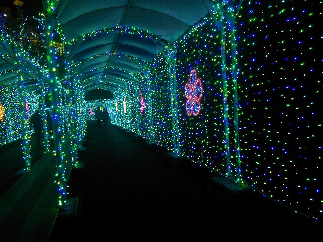 f:id:kami3saki:20191108124446j:plain f:id:kami3saki:20191108124446j:plain