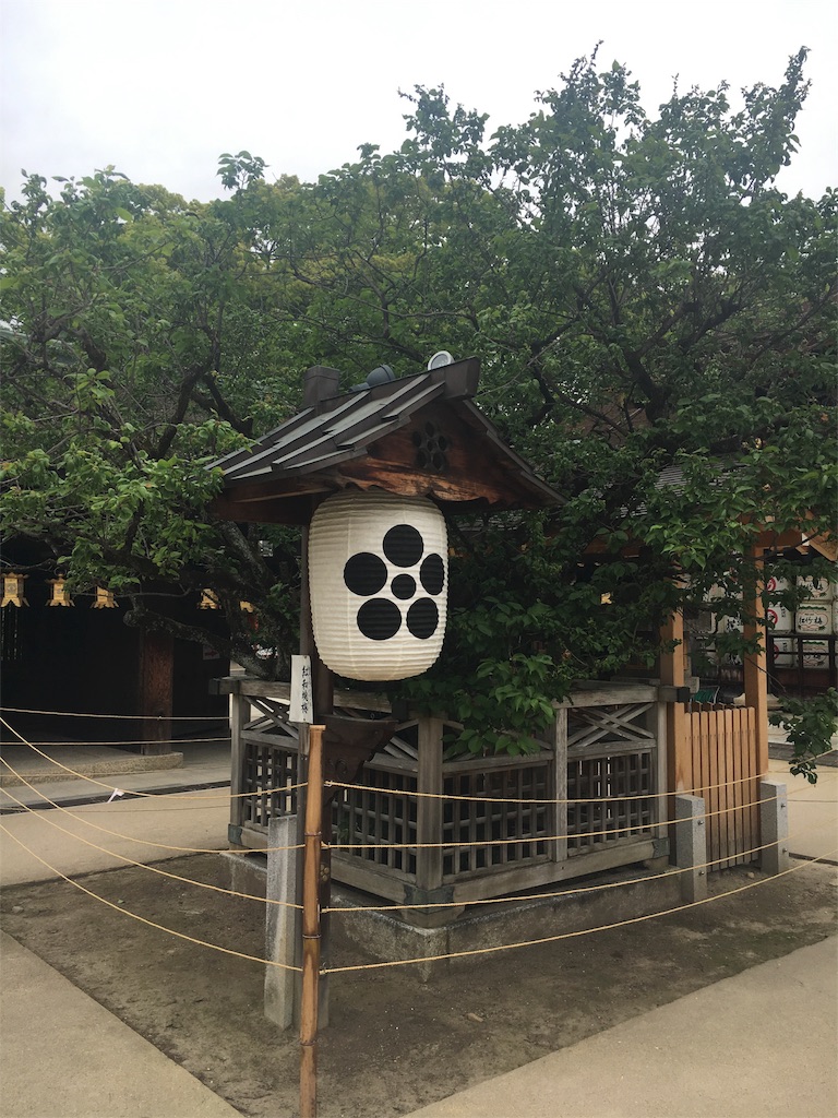 f:id:kamibutsuyoku:20160512120909j:image f:id:kamibutsuyoku:20160512120909j:image