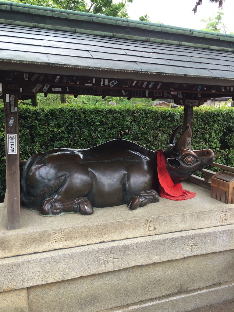 f:id:kamibutsuyoku:20160512121104j:image f:id:kamibutsuyoku:20160512121104j:image