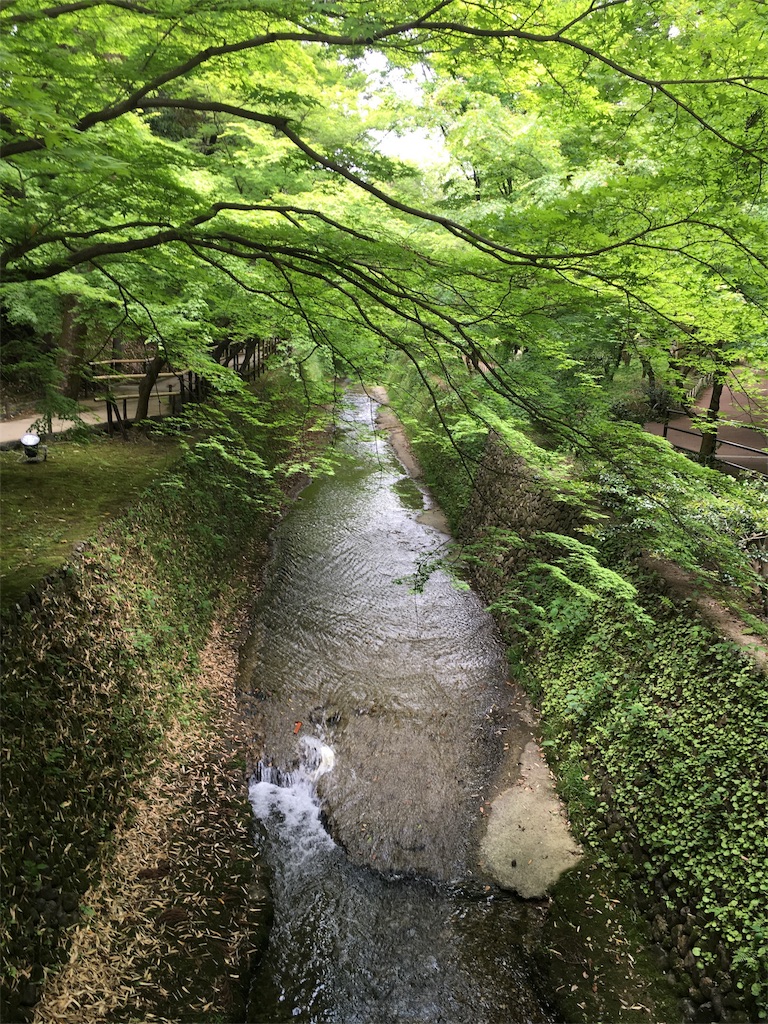 f:id:kamibutsuyoku:20160512121510j:image f:id:kamibutsuyoku:20160512121510j:image