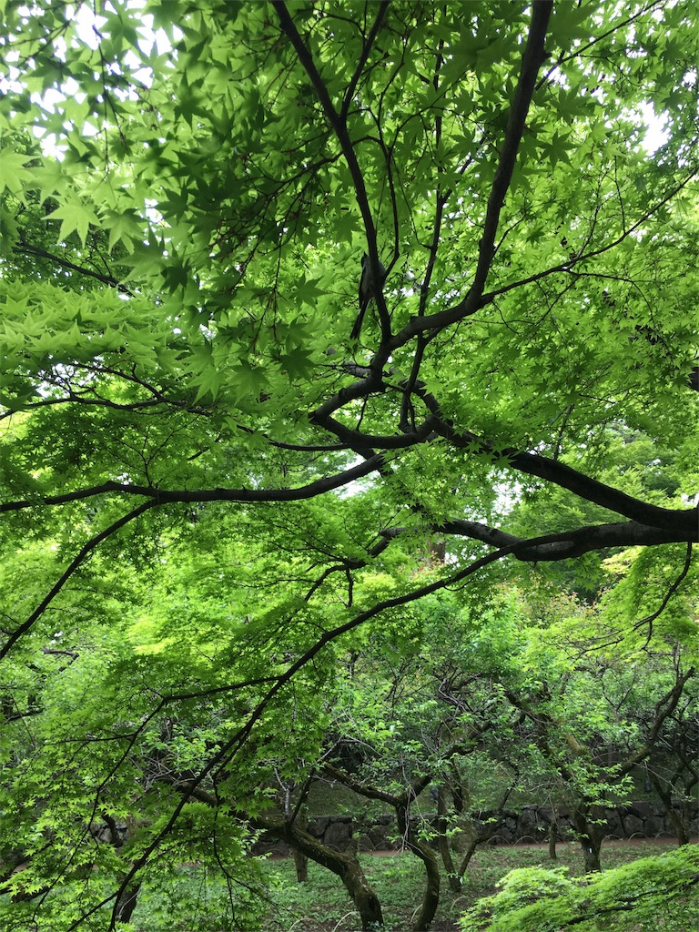 f:id:kamibutsuyoku:20160512121545j:image f:id:kamibutsuyoku:20160512121545j:image
