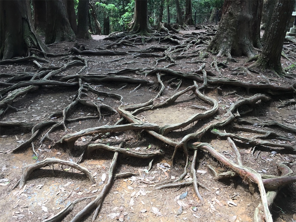 f:id:kamibutsuyoku:20180528070548j:image