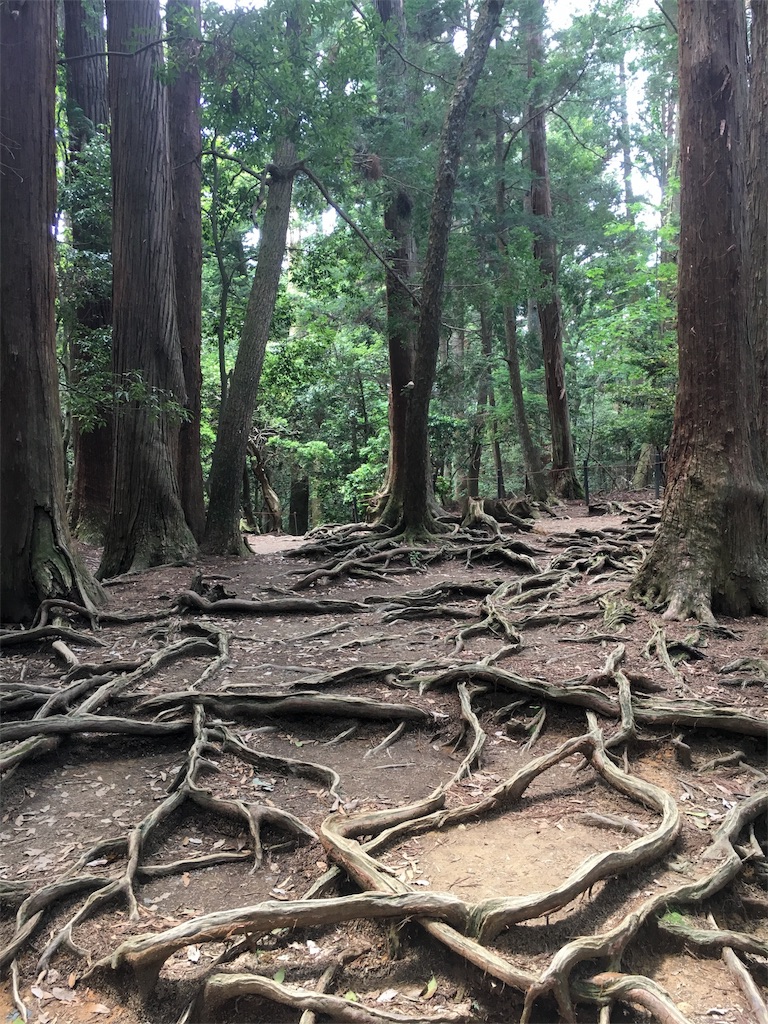 f:id:kamibutsuyoku:20180528070556j:image