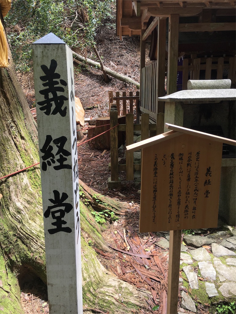 f:id:kamibutsuyoku:20180529080347j:image