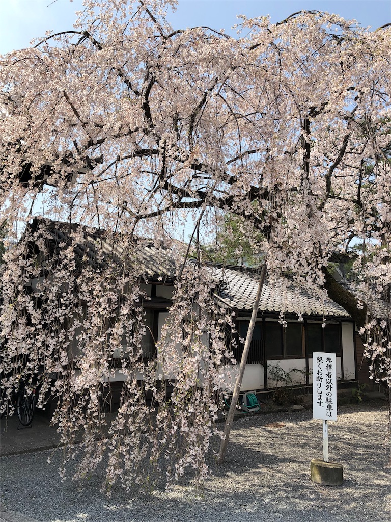 f:id:kamibutsuyoku:20190413161053j:image