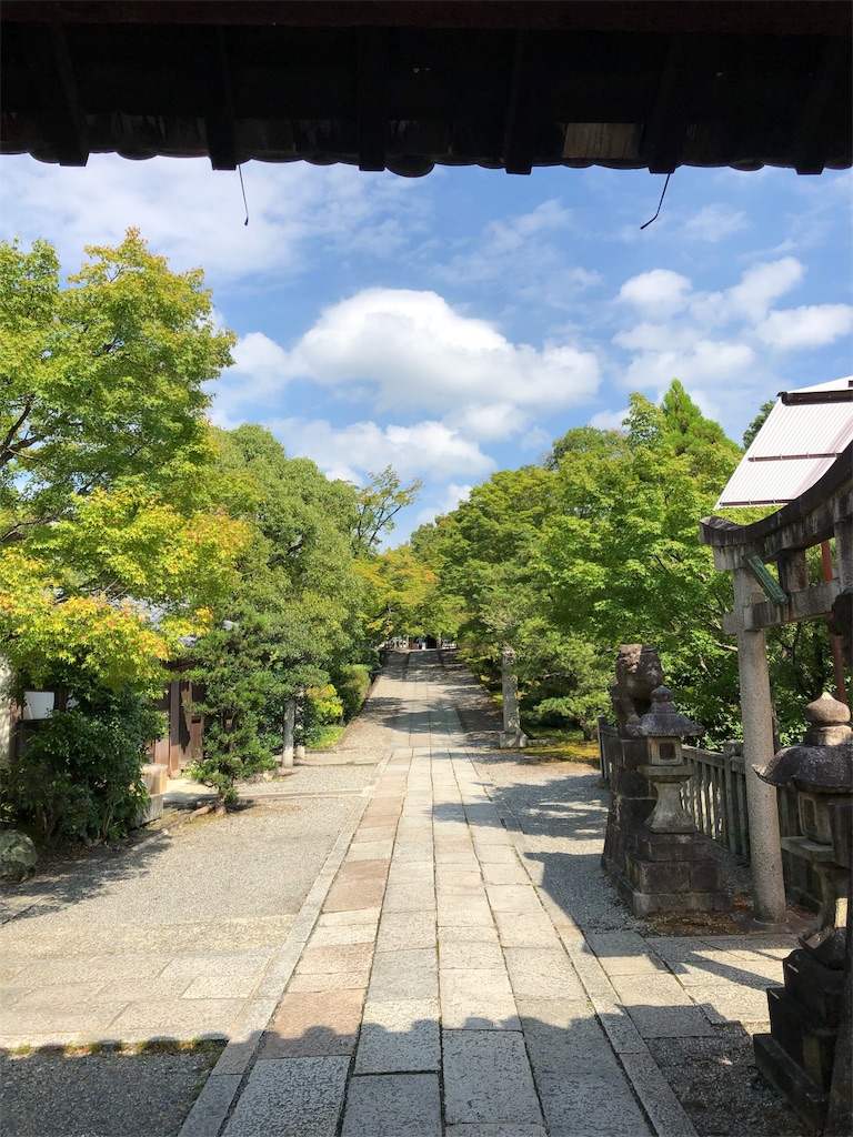 f:id:kamibutsuyoku:20190828123411j:image