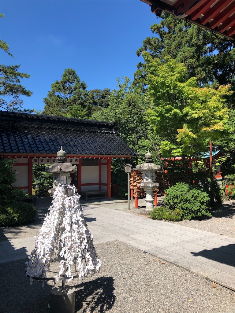 f:id:kamibutsuyoku:20200909075501j:image