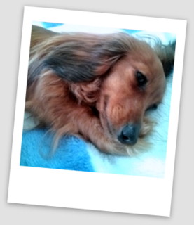 f:id:kamigoryo:20120427235336j:image