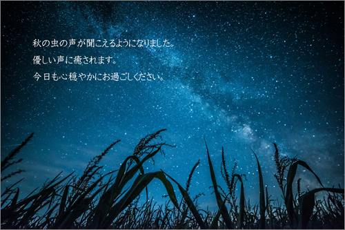 手紙*挨拶＞ 2023年 紙飛行機レター【8月】 - 365日 Letter