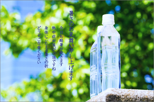 紙飛行機レター