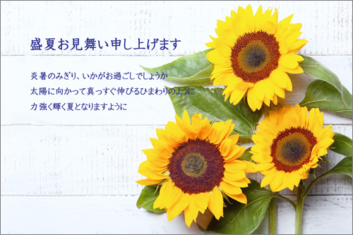 紙飛行機レター