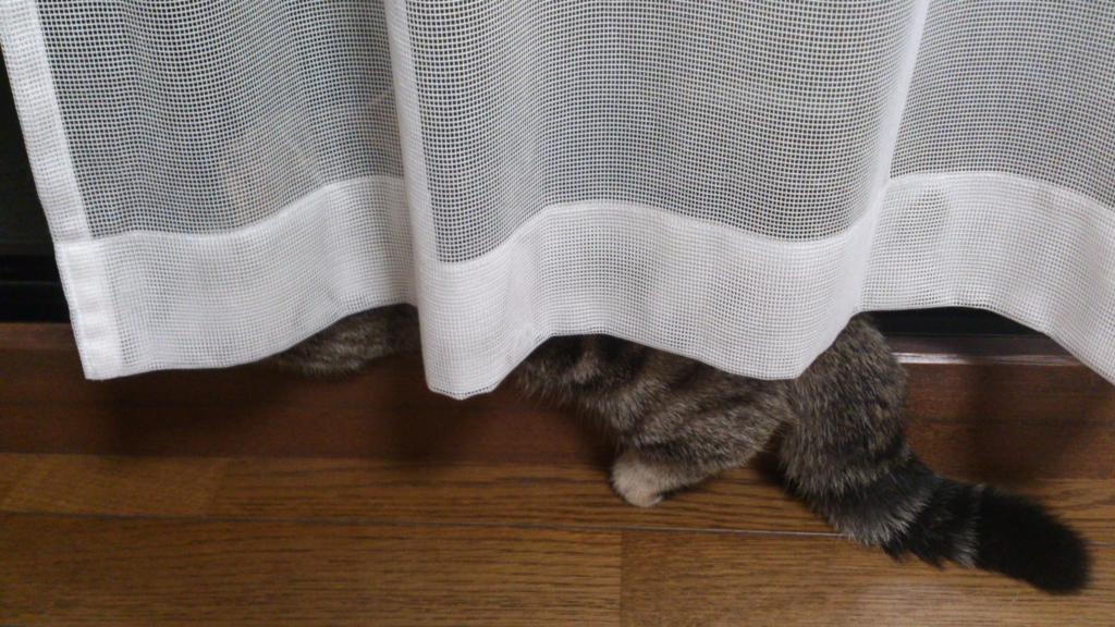 f:id:kamihiro0923:20160830001926j:plain