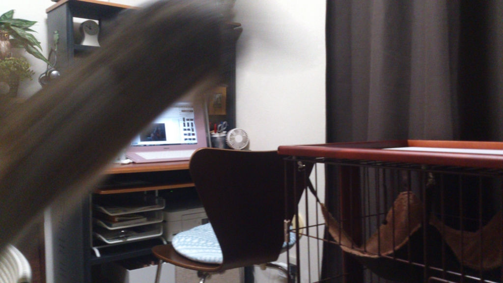 f:id:kamihiro0923:20160902190526j:plain