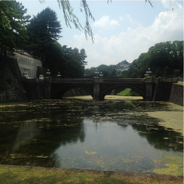f:id:kamikami3594:20150625221722j:image f:id:kamikami3594:20150625221722j:image