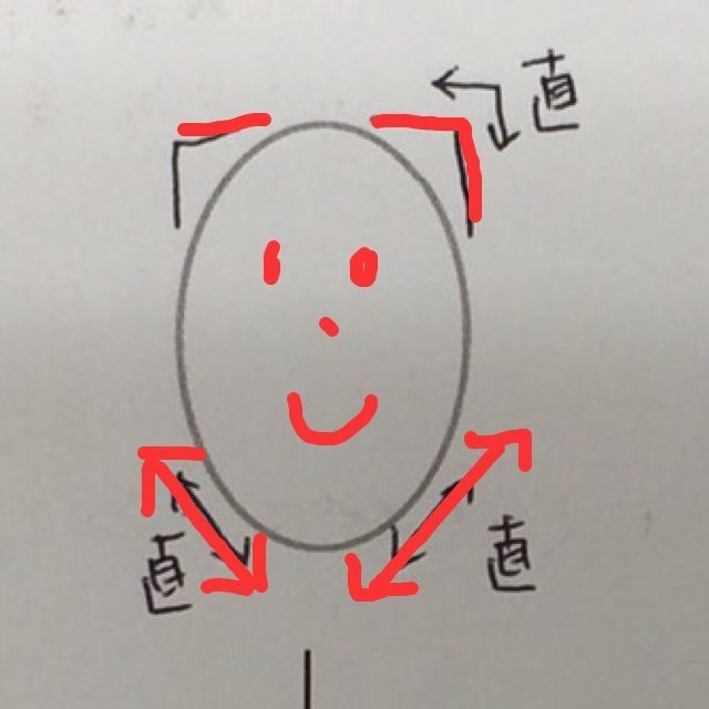 f:id:kamikamy:20170612141922j:plain f:id:kamikamy:20170612141922j:plain
