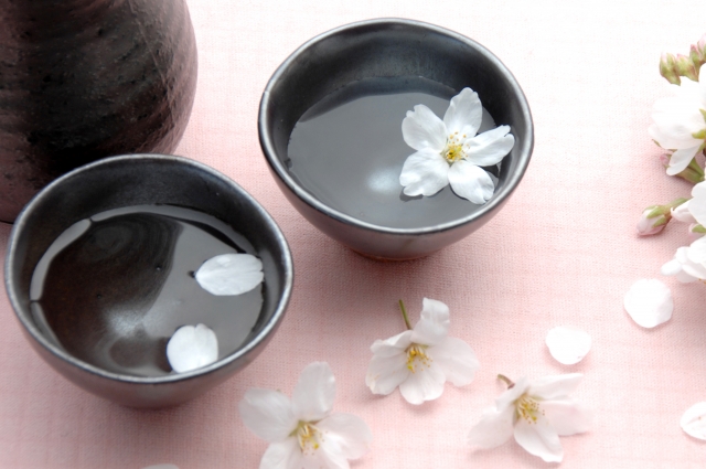 f:id:kamilleblue:20190421210628j:plain f:id:kamilleblue:20190421210628j:plain